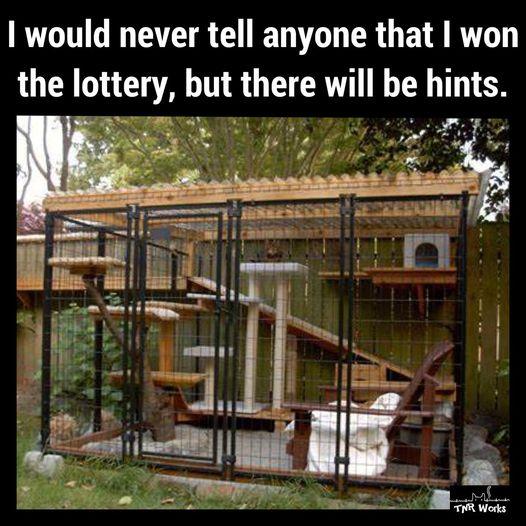 lottery.jpg