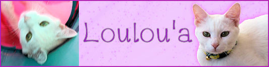 Loulou'a banner 1.jpg