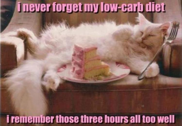 low-carb-diet.jpg