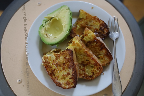 Lunch_2024-03_French toast and avocado.jpg