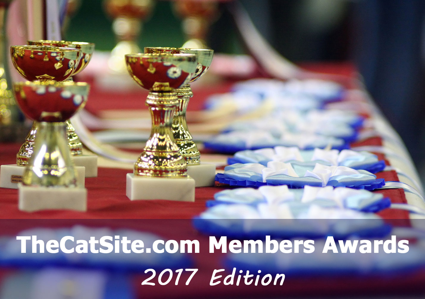 members-awards17.jpg