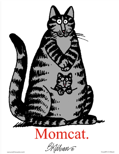 momcat.png