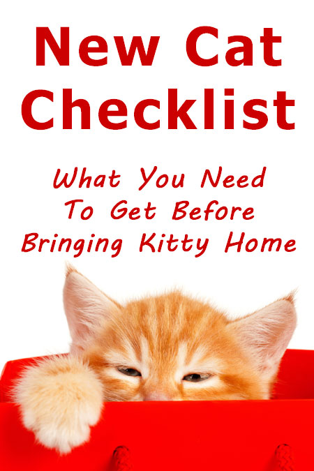 New Cat Checklist: What you need to get before bringing Kitty home