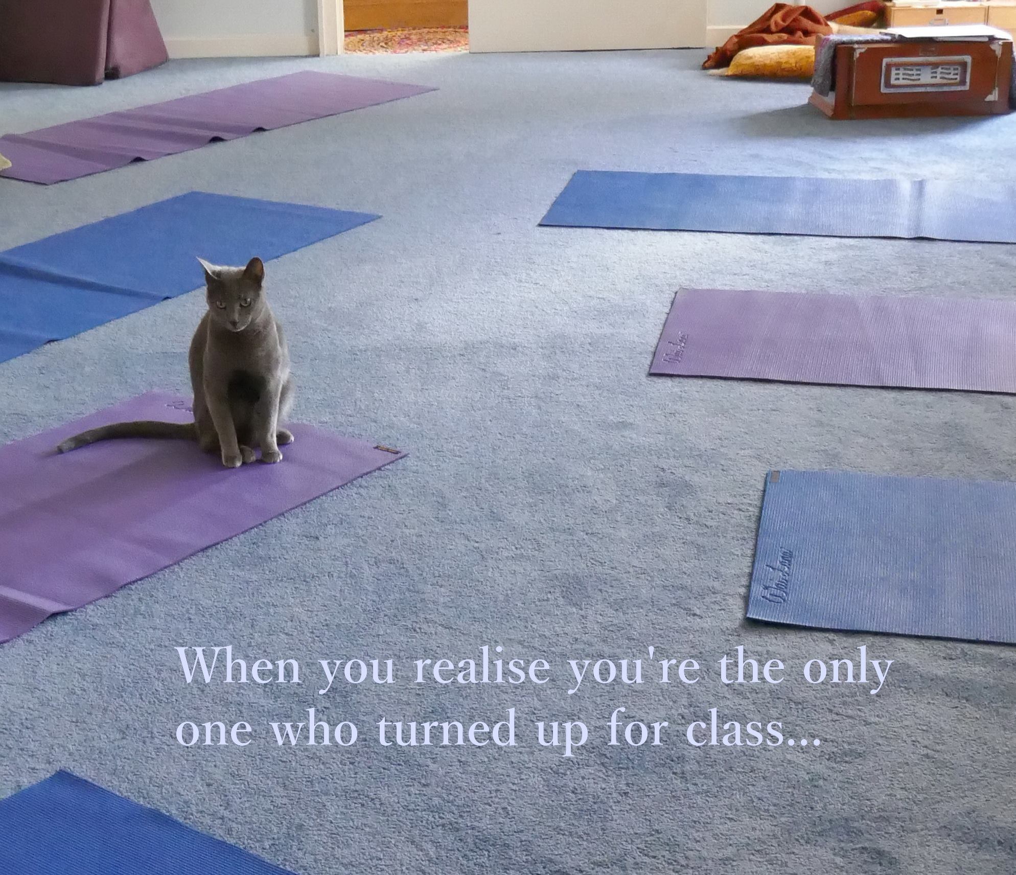 nilah yoga.jpg