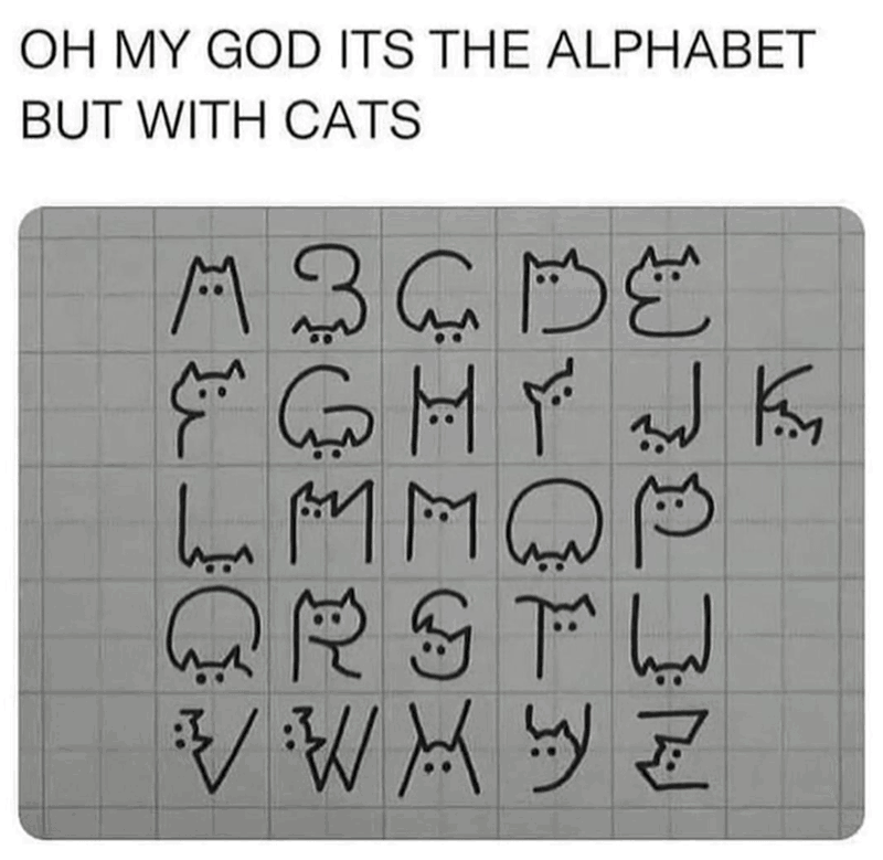 oh-my-god-its-alphabet-but-with-cats-msgbe-immo-q-r-s-t-w-v-w-x-y-z.png