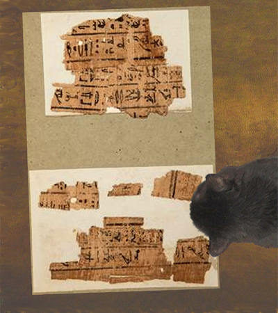 oz-papyrus1.jpg