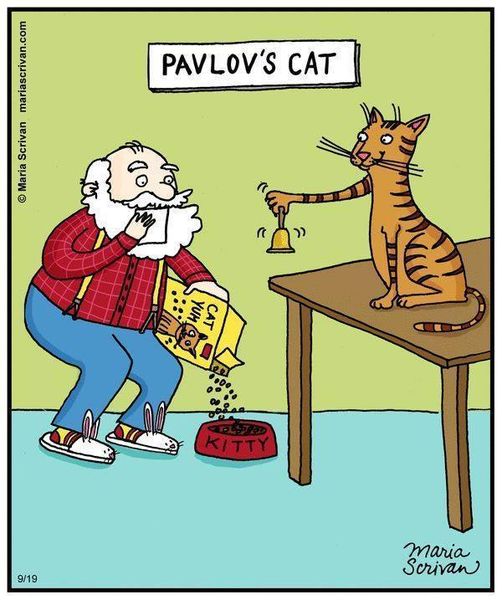 pavlov's cat.jpg