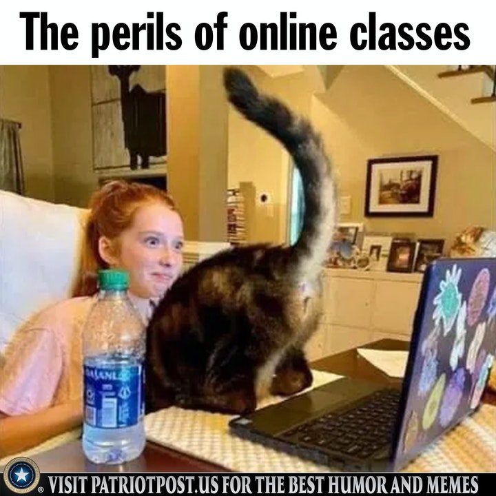 perils of online classes jpg.jpg