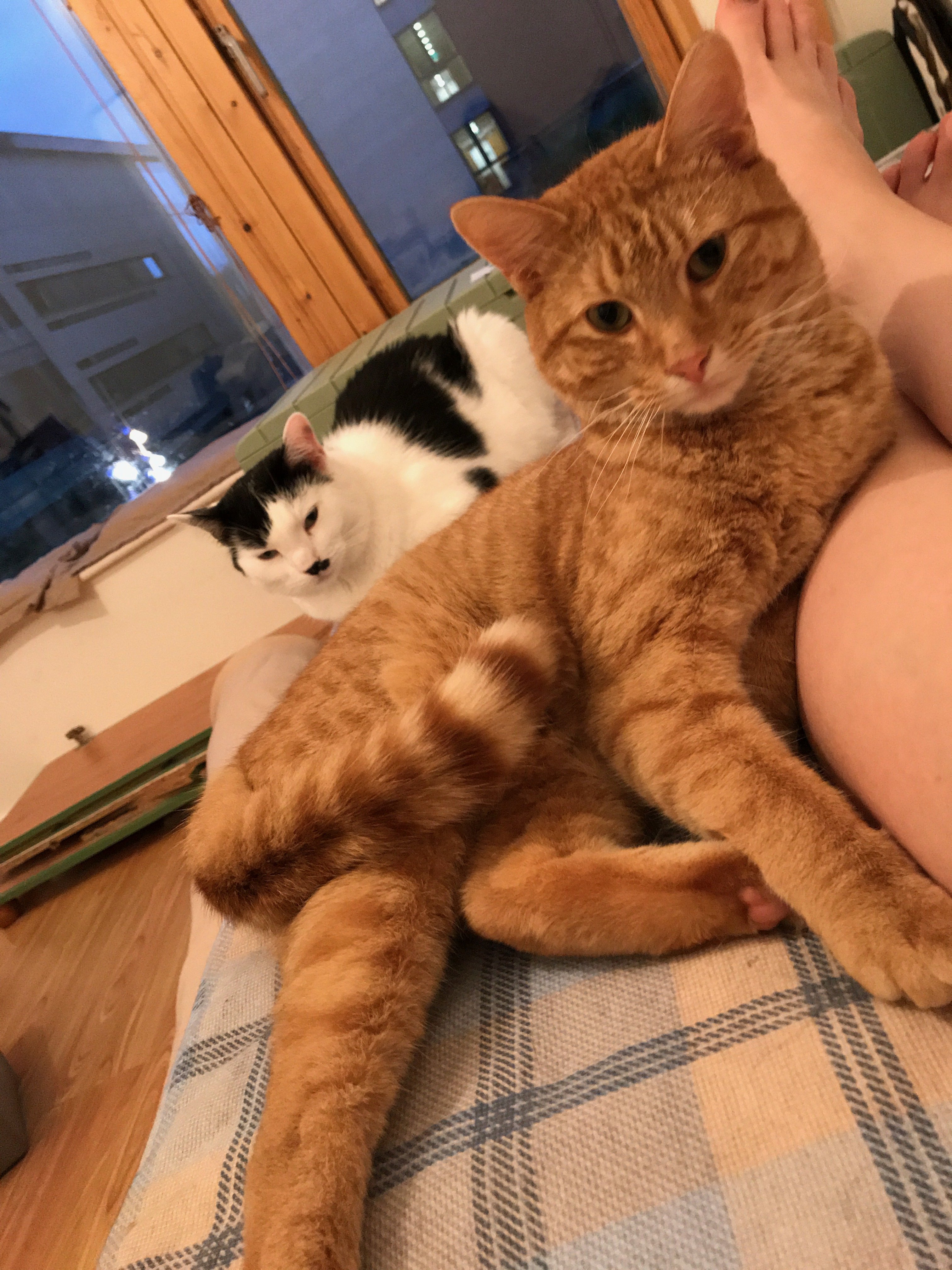 Pierre and Leo with my leg.JPG