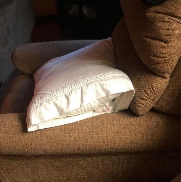 pillow.jpeg