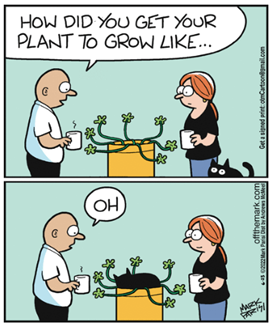 plant (2).png