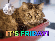 purrfect-its-friday.gif