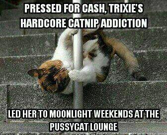 Pussycat-lounge.jpg