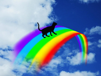 Rainbow Bridge Cat rr.jpg