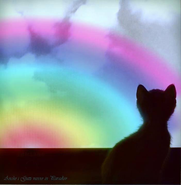 rainbow-bridge2.jpg