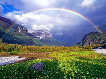 Rainbow over meadow.jpg