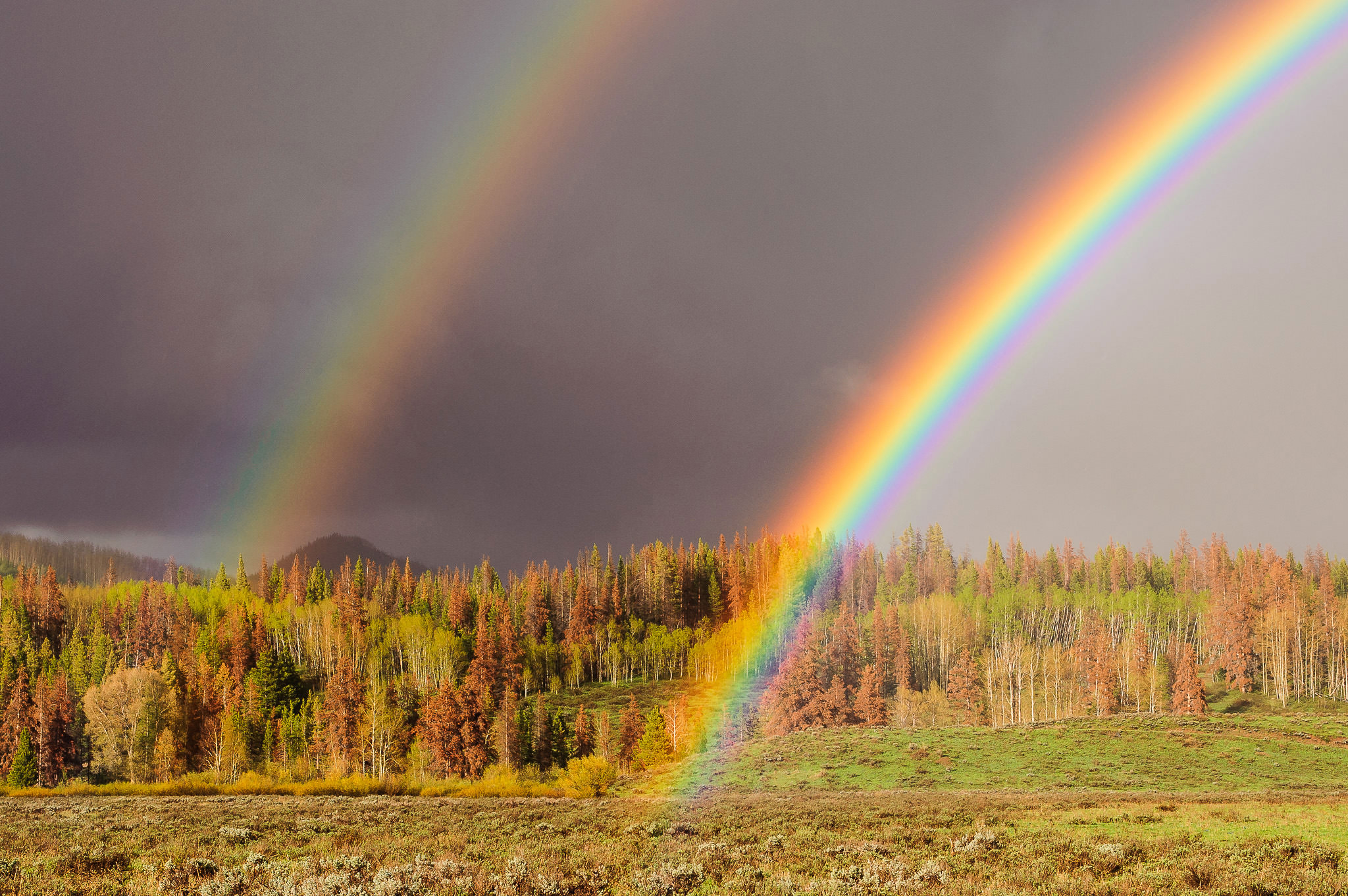 Rainbow-Touching-Ground.jpg