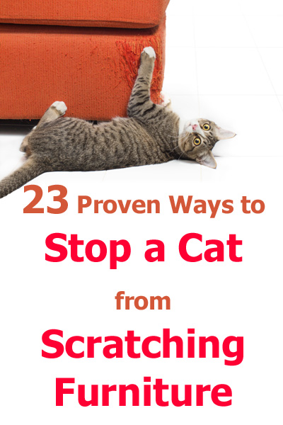 23 Proven Ways To Stop A Cat From Scratching Furniture