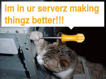Server_maintenance_cat.jpg
