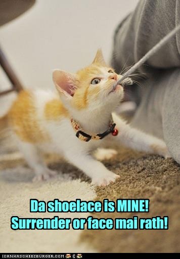shoelace.jpg