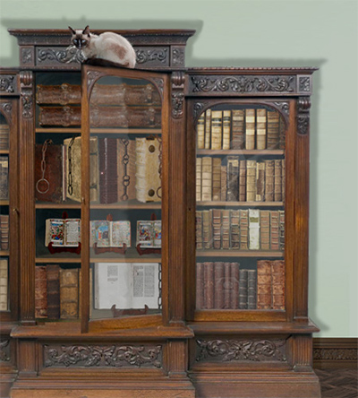snowshoe_bookcase.jpg