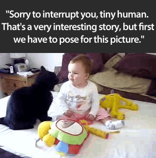 Sorry-to-interrupt-you-tiny-human (1).gif