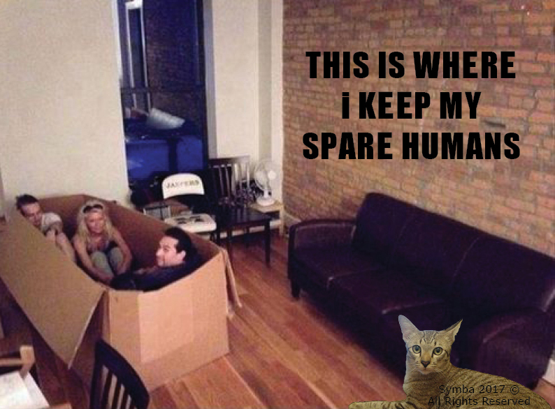 spare humans2.jpg