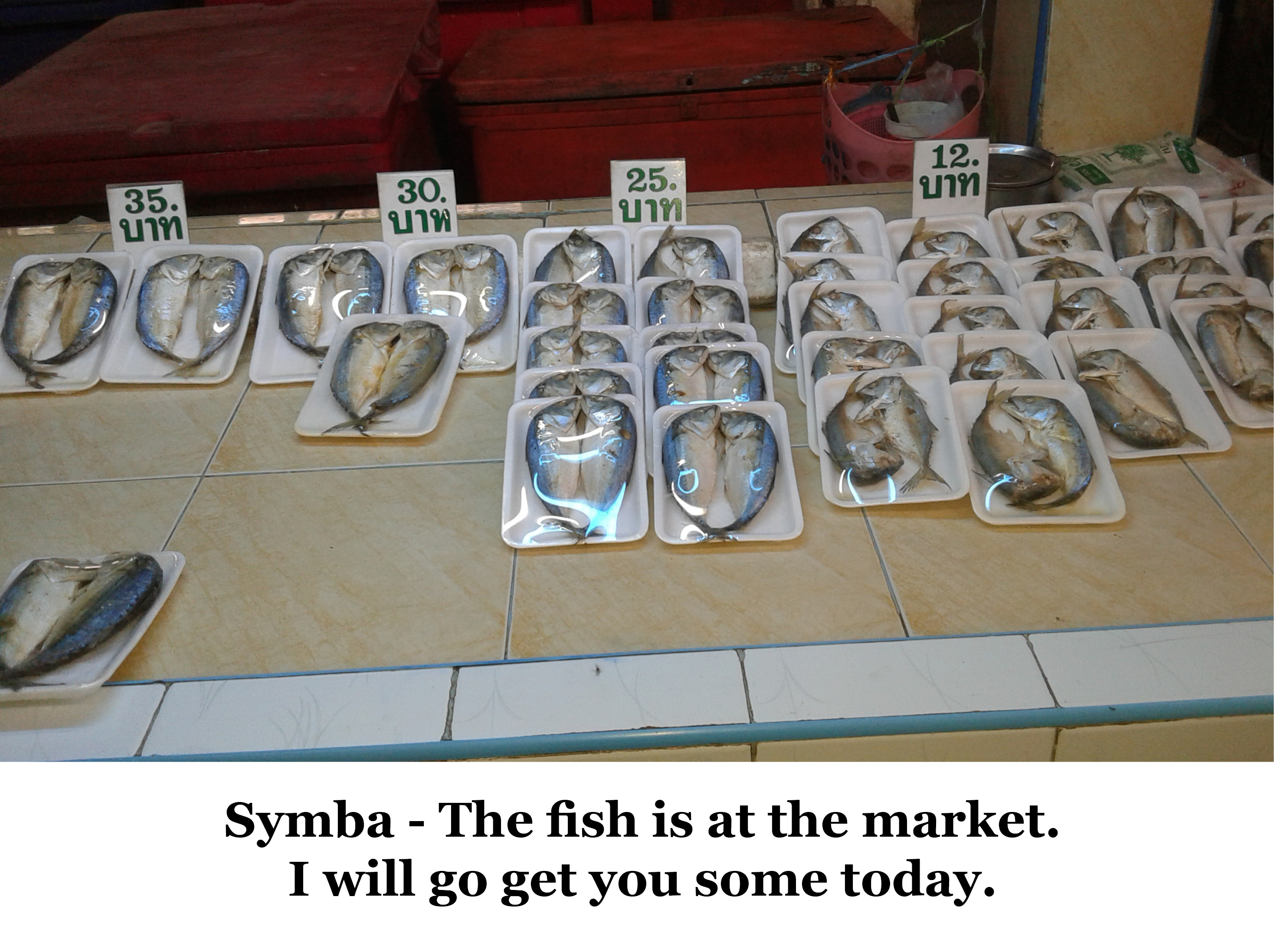 symba fish2.jpg