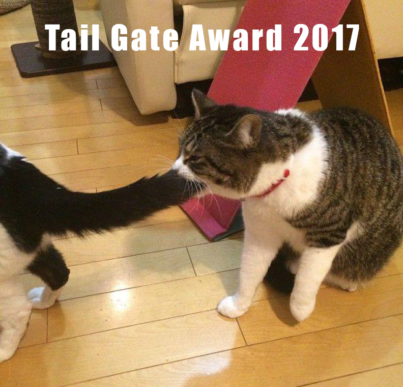 tail gate award.jpg