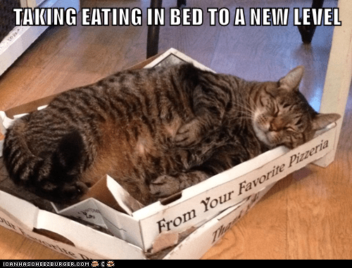 taking-eating-in-bed-to-a-new-level.png