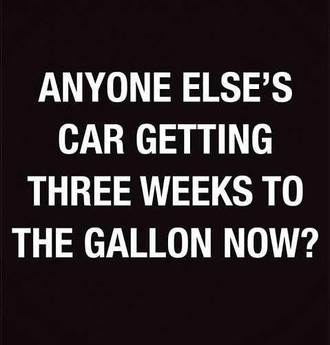 thre weeks to gallon.jpg