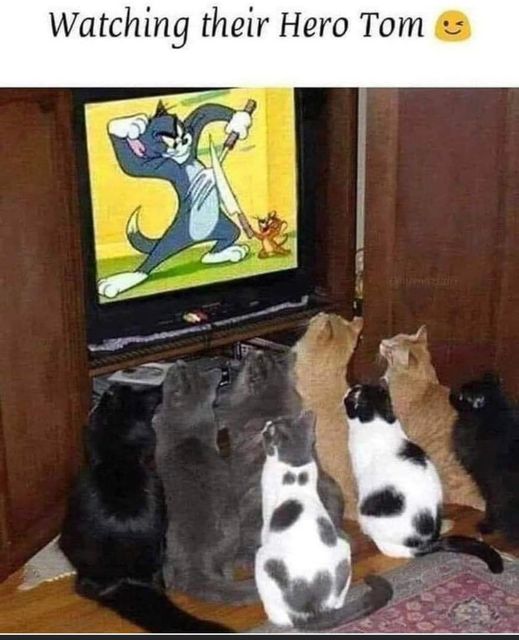 Tom and Jerry.jpg
