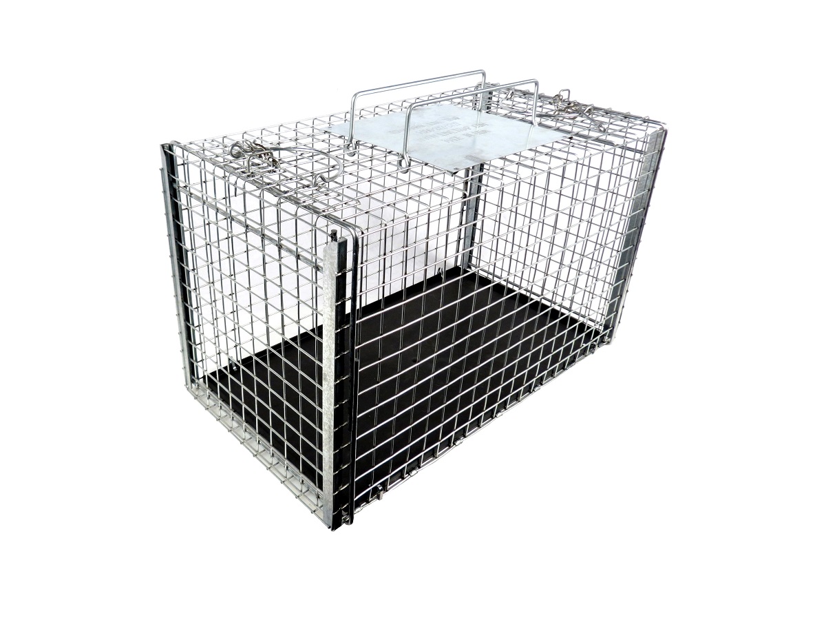 transfer cage.jpg