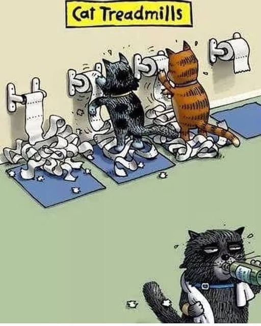 treadmills.jpg