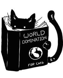 WORLD DOMINATION FOR CATS.jpg