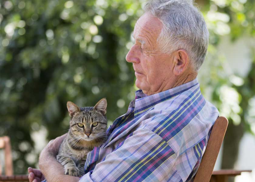 Senior man with tabby cat in his garden