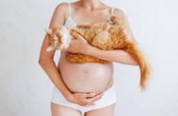 Pregnant woman in white underwear with cute ginger cat