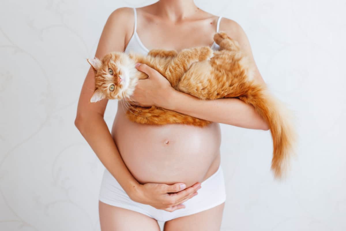 Pregnant woman in white underwear with cute ginger cat