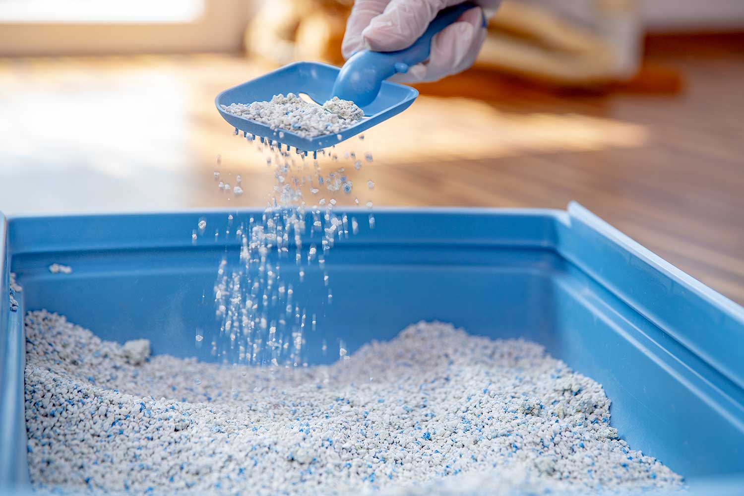 Close-up of pet owner straining and cleaning sand in cat litter box