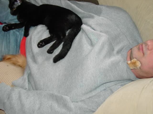a kitty peeking their hand out from under a shirt