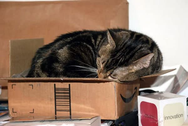 a cat sitting in a box