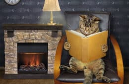 The cat is reading a book in the black leather armchair near fireplace in the living room.
