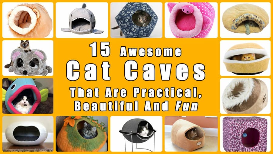 Collage showing 15 cat caves