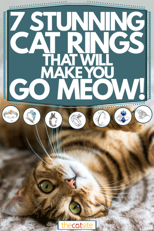 A cat lying on the bed up right while looking on the camera, 7 Stunning Cat Rings That Will Make You Go "meow!"