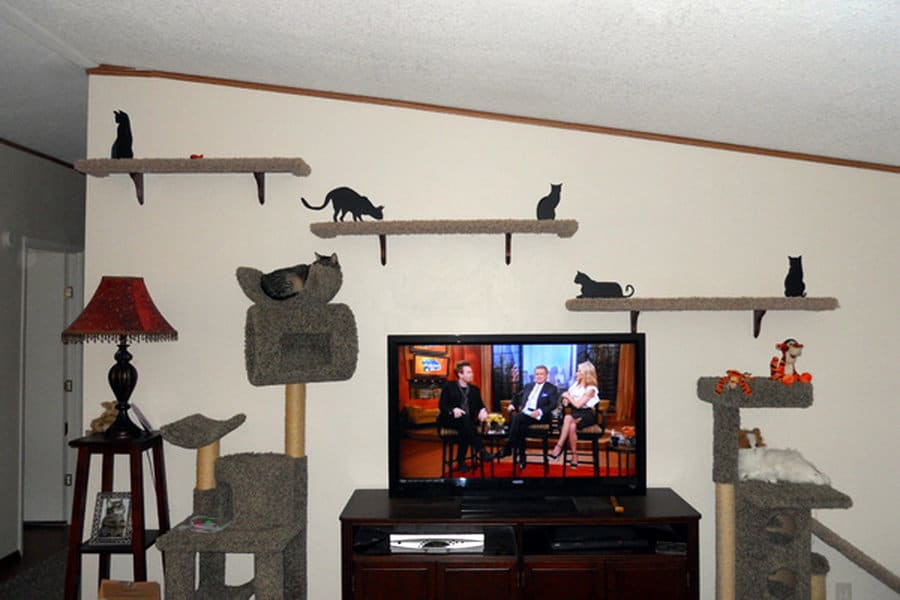 Elaborate cat shelf design shared by a member of the forums