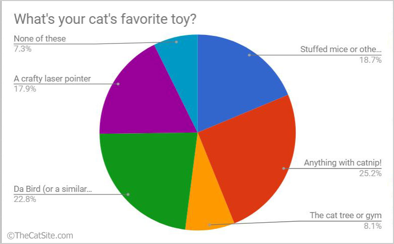 Cats favorite toys survey