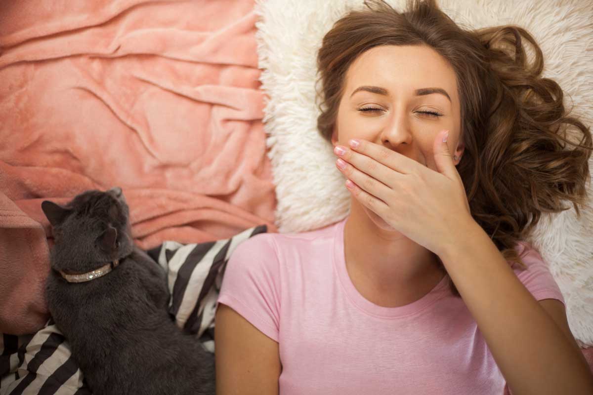 Cat owner waking up because of cat meowing