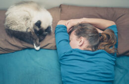Cat snuggling on a pillow next to her owner, How Do Cats Choose Who to Sleep With?