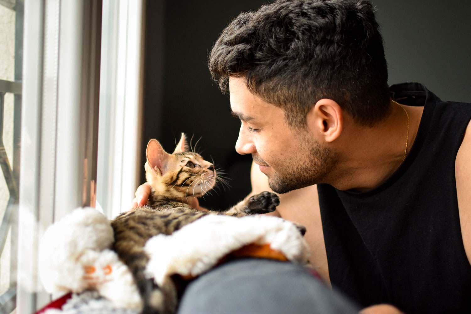 A man and a cat staring at each other near the window