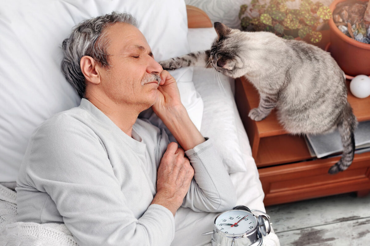 A cat waking up his elderly owner sleeping on the bed